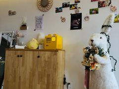 -猫腻·猫咖·撸猫馆(星光大道店)