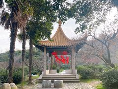 -雨花胜境