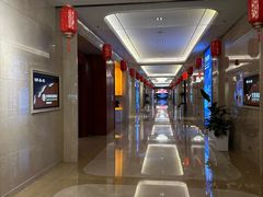 -郑州新郑国际机场T2航站楼-贵宾厅B区