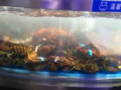 -盒马鲜生(杭州运河上街店)
