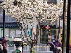 -志龙皇冠吃货椰子铺