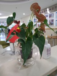 -成都军建医院·疤痕诊疗中心