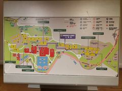 -香港大学
