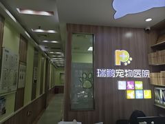 -瑞鹏宠物医院·宠保定点·心脏科·内科(御桥分院)