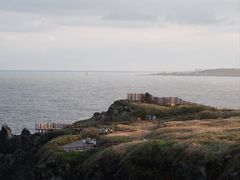 -涉地可支