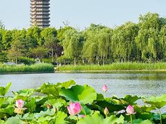-西海子公园