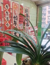 -苗医生专业祛痘·皮肤管理