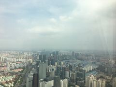 -上海柏悦酒店