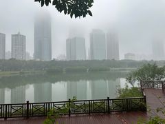 -万绿园