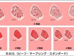 -俺的焼肉(銀座9丁目店)