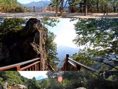 -陕西省红河谷森林公园