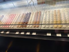 面包甜点陈列柜-BLACKSWAN黑天鹅(环球店)
