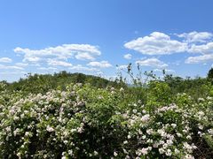 -鬼笑石后山停车场