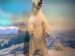 -陕西自然博物馆