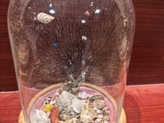 -青岛贝壳博物馆