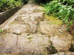 -冶父山国家森林公园