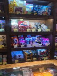 -卡通尼·Safari非洲探索乐园·生日会(金桥国际商业广场店)