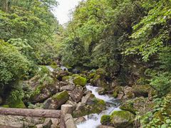 -青城山