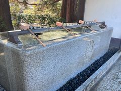 -成田山新胜寺