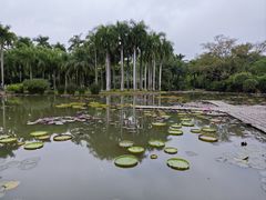 -中国科学院西双版纳热带植物园