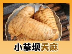 -昭通天麻竹荪火腿鸡(严家地店)