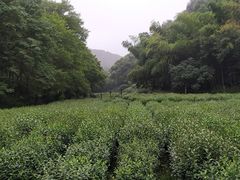 -杭州西湖风景名胜区-三生石