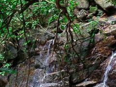 -火炉山森林公园