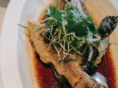-顺峰(农展馆店)