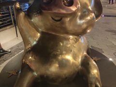 -星光大道