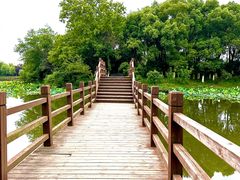 -艾溪湖湿地公园