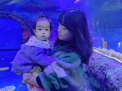 -沈阳海洋探索中心