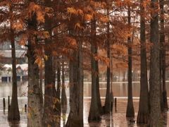 -白鹭湾湿地公园