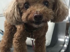 -北京赛佳动物医院