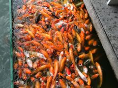 -广东圆玄道观