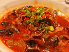 藤椒牛舌-蝶园·装修中(BFC外滩金融中心店)