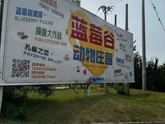 -金石滩蓝莓谷庄园
