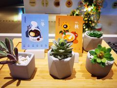 -炖物24章·顺时轻养茶(黄龙店)