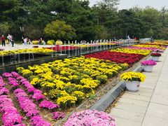 -沈阳植物园