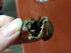 -金栗王(清扬路店)