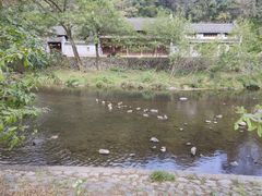 -鹿亭中村