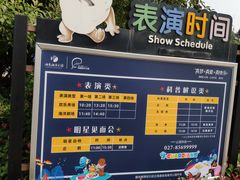-海合安武汉极地海洋公园