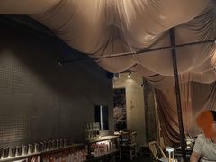 -毛辣果·酸