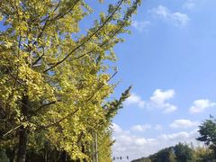 -胜华驾校·小猫学车(银都店)