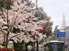 -川沙古镇-停车场