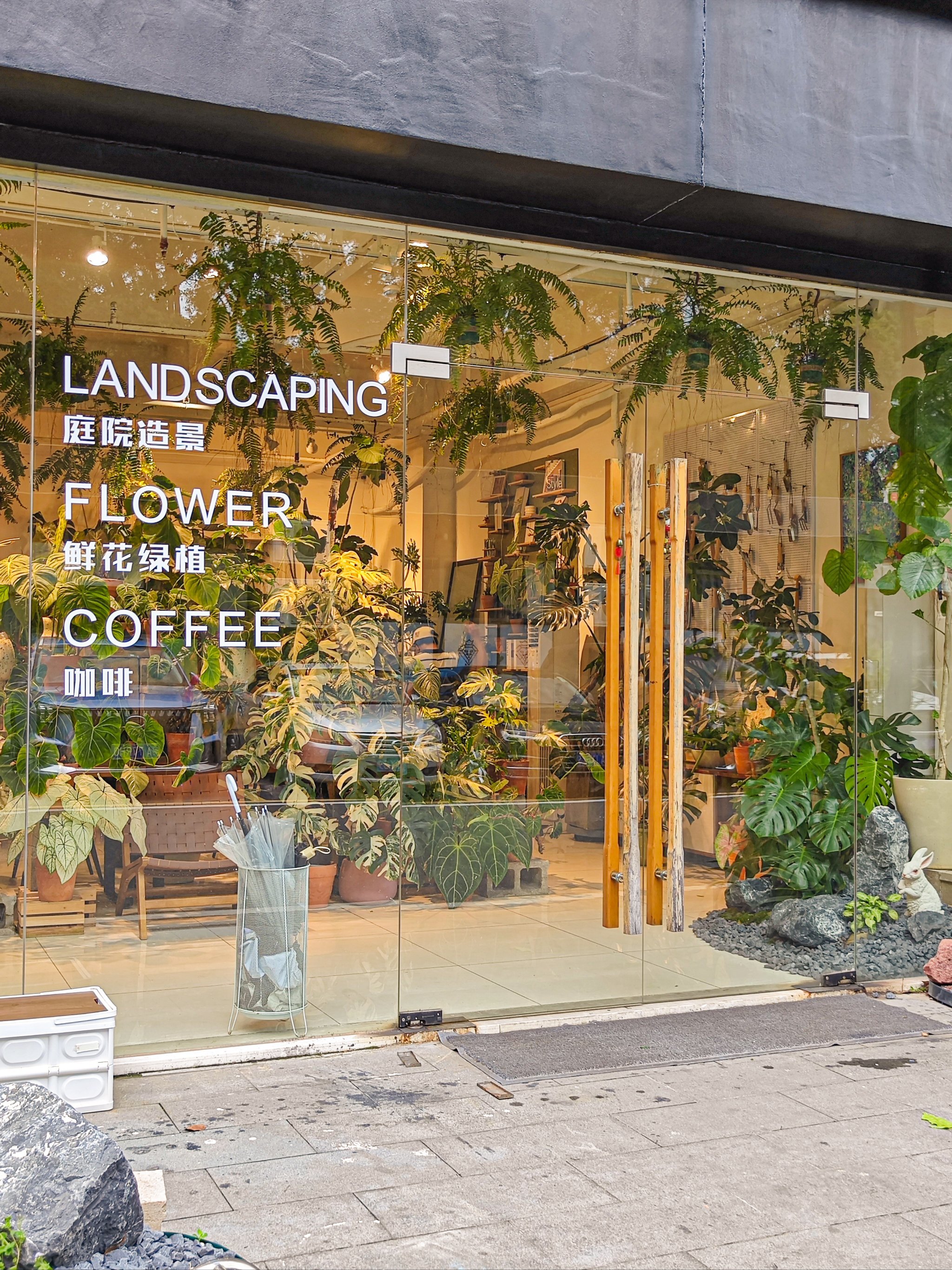 棠下,属于i人的森系绿植咖啡馆!