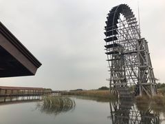 -苏州太湖湖滨国家湿地公园