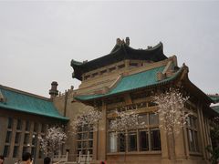 -武汉大学-樱园