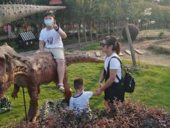 -武汉紫薇都市田园