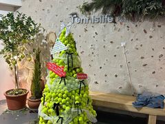 -Tennislife Point网球学练馆(曲江馆)
