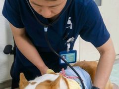 -派美特宠物医院·核磁CT·骨科肿瘤·疑难转诊(沈农禾丰店)